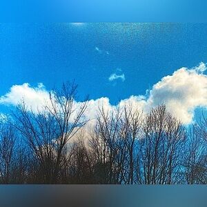 Summer photo. Giant bird cloud